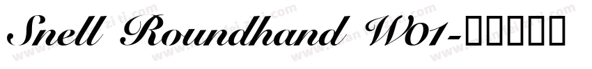 Snell Roundhand W01字体转换